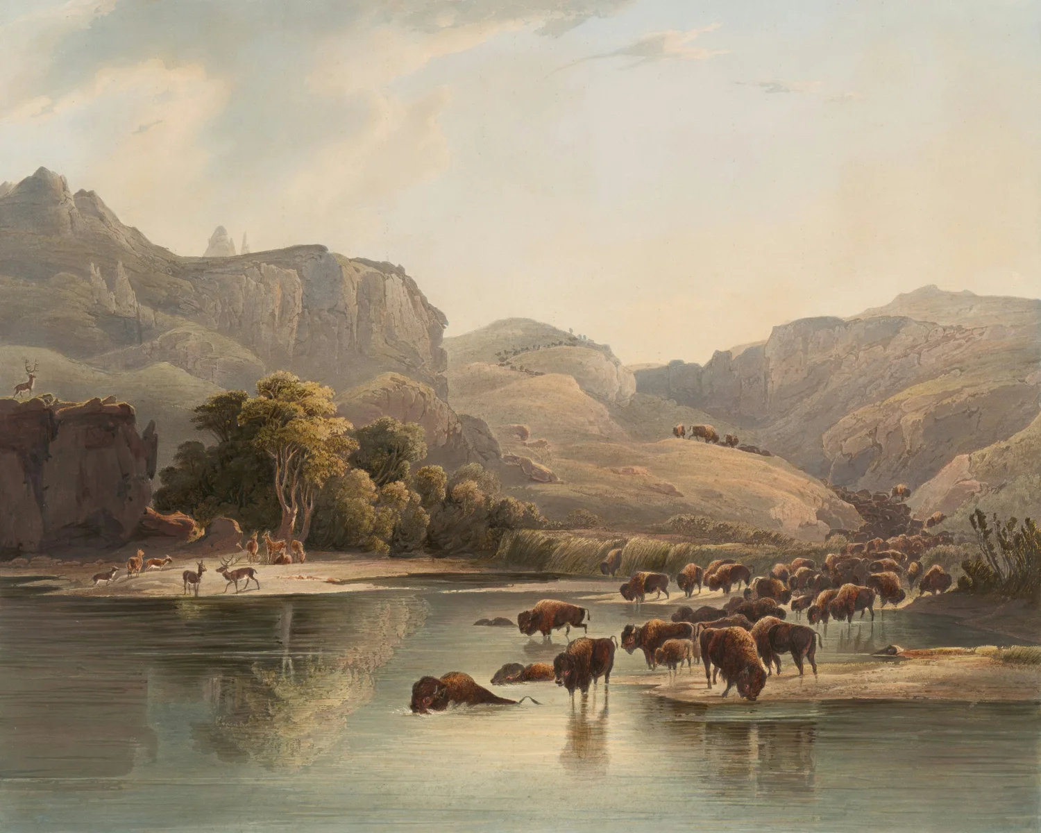 Herds of bisons and elks on the upper Missouri. The New York Public Library Digital Collections. 1840 - 1843.